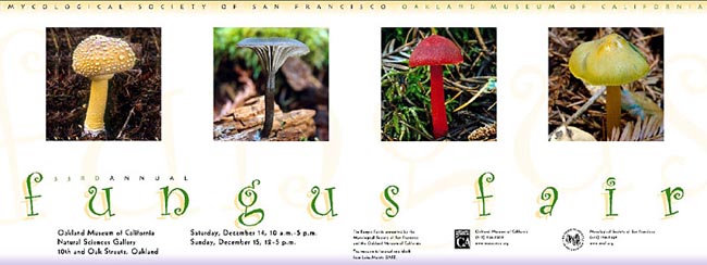 Fair Poster 2002