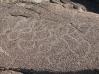 Petroglyph