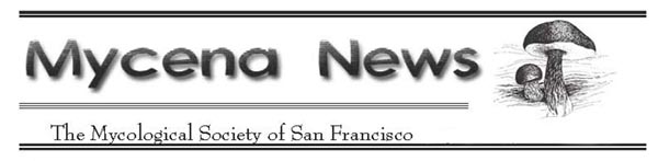 Mycena News Masthead