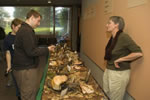 2007 Fungus Fair 03